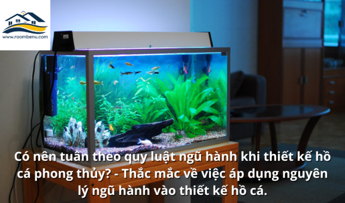 Có nên tuân theo quy luật ngũ hành khi thiết kế hồ cá phong thủy? - Thắc mắc về việc áp dụng nguyên lý ngũ hành vào thiết kế hồ cá.