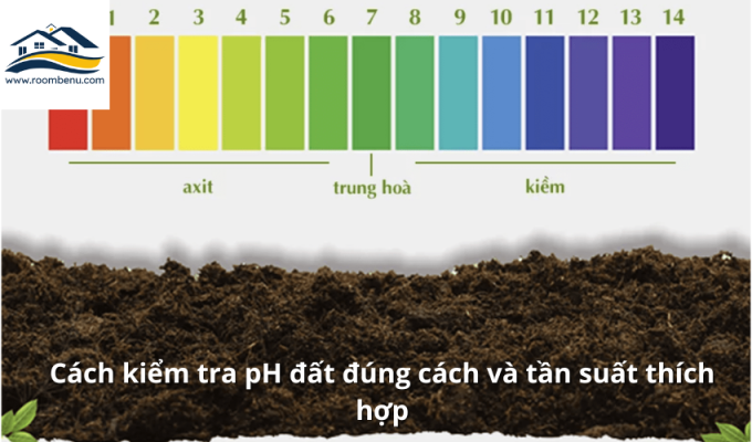 Cách kiểm tra pH đất đúng cách và tần suất thích hợp