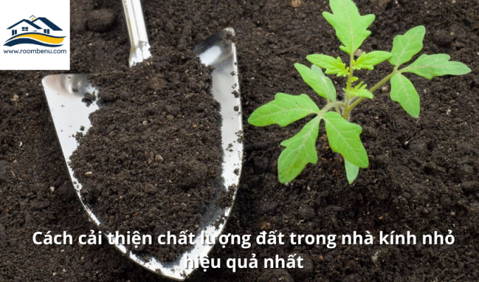 Cách cải thiện chất lượng đất trong nhà kính nhỏ hiệu quả nhất